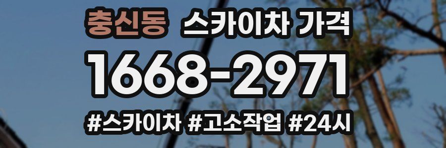 충신동 스카이차 가격