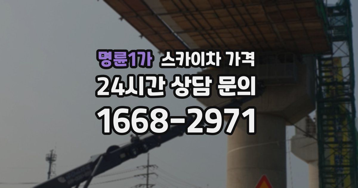 명륜1가 스카이차 가격