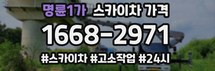 명륜1가 스카이차 가격