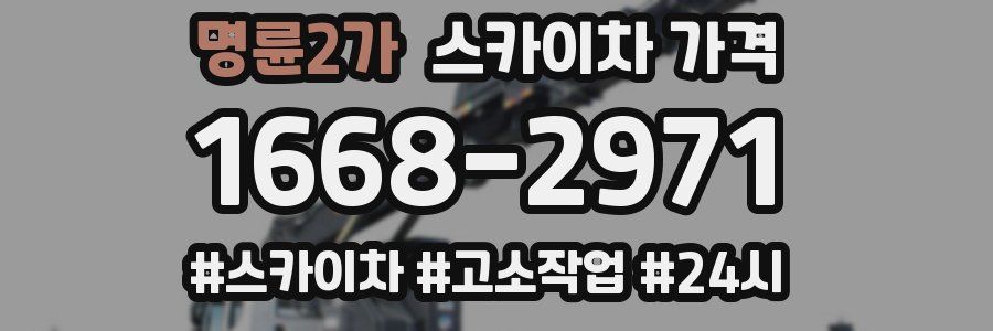 명륜2가 스카이차 가격