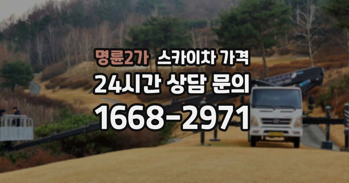 명륜2가 스카이차 가격
