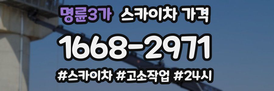 명륜3가 스카이차 가격