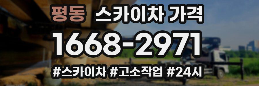 평동 스카이차 가격