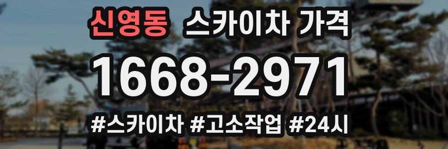 신영동 스카이차 가격