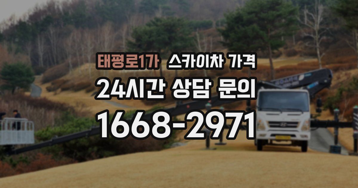 태평로1가 스카이차 가격