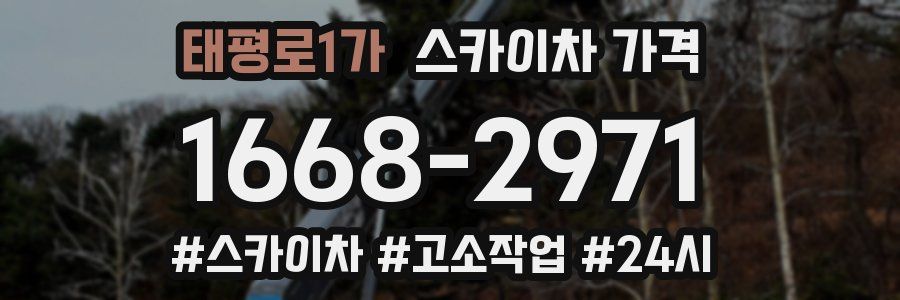태평로1가 스카이차 가격