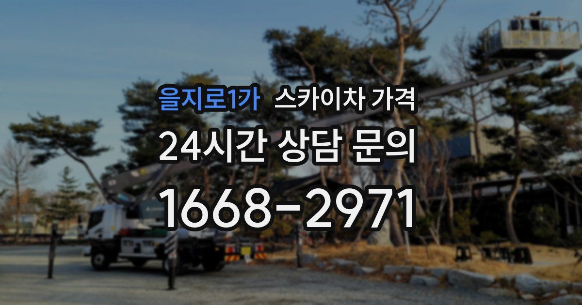 을지로1가 스카이차 가격
