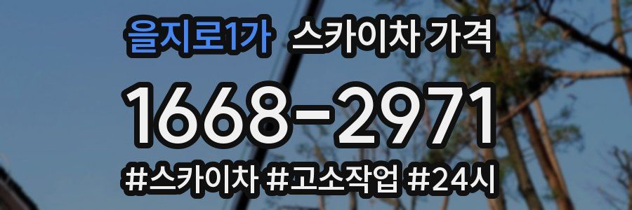 을지로1가 스카이차 가격