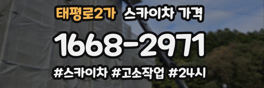 태평로2가 스카이차 가격