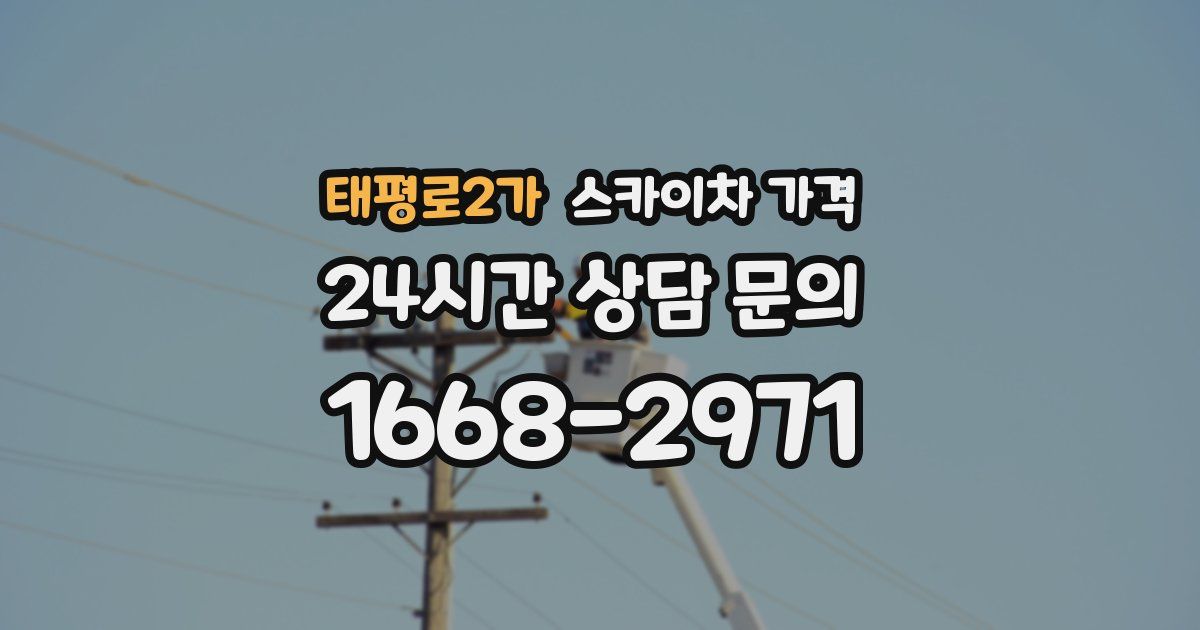 태평로2가 스카이차 가격
