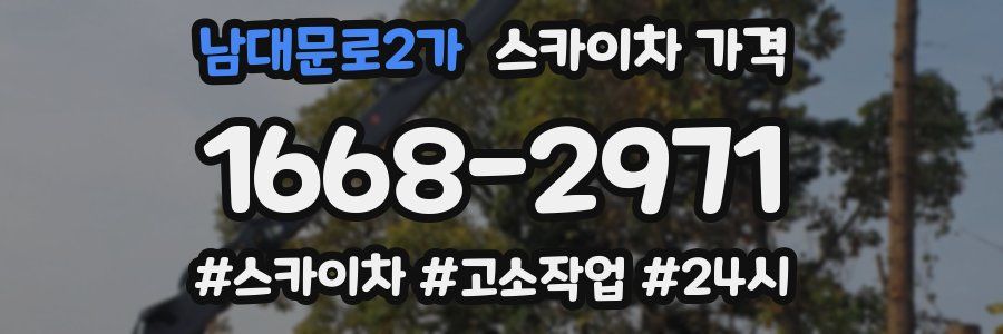 남대문로2가 스카이차 가격