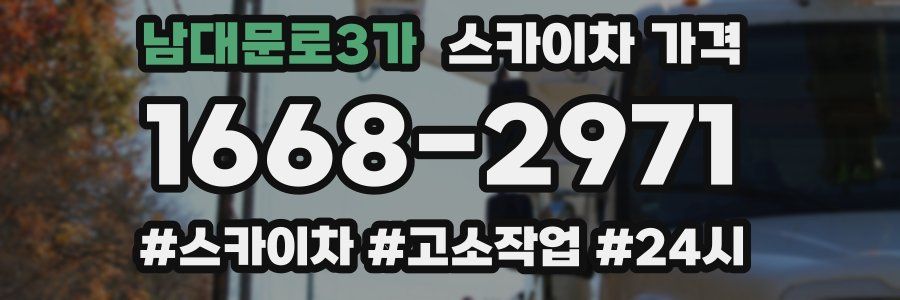 남대문로3가 스카이차 가격