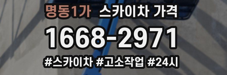 명동1가 스카이차 가격