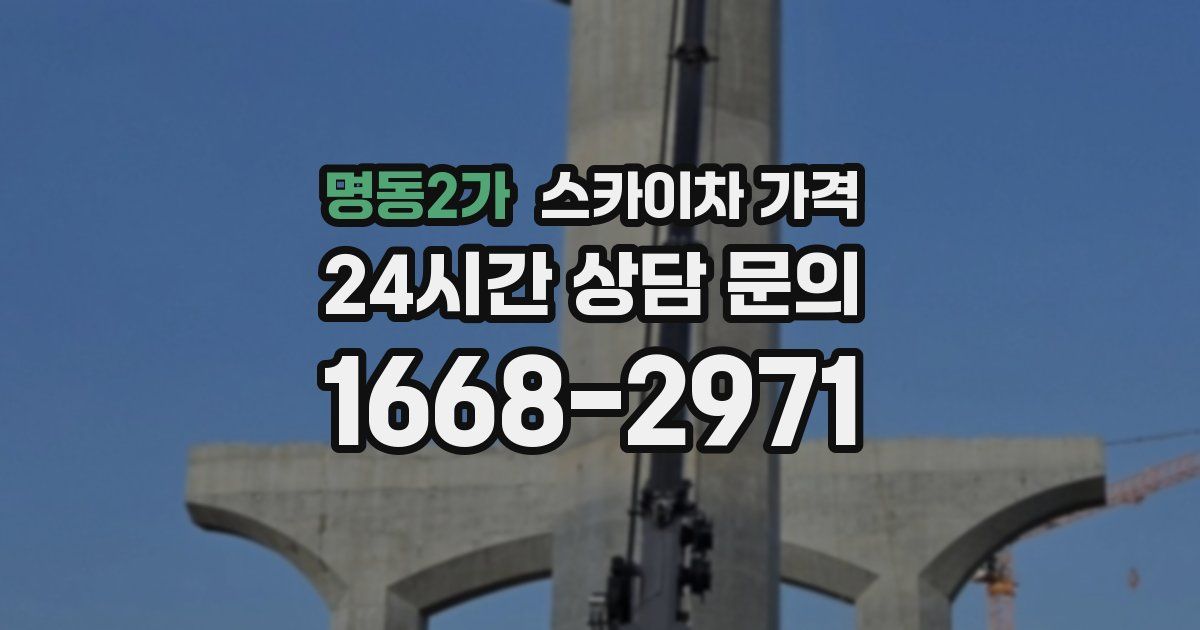 명동2가 스카이차 가격