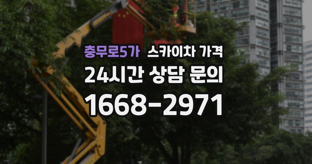 충무로5가 스카이차 가격