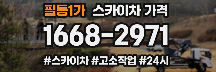 필동1가 스카이차 가격