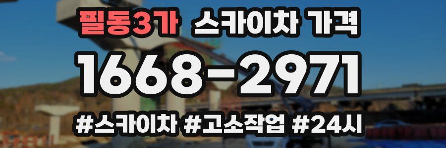 필동3가 스카이차 가격