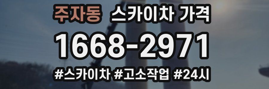 주자동 스카이차 가격