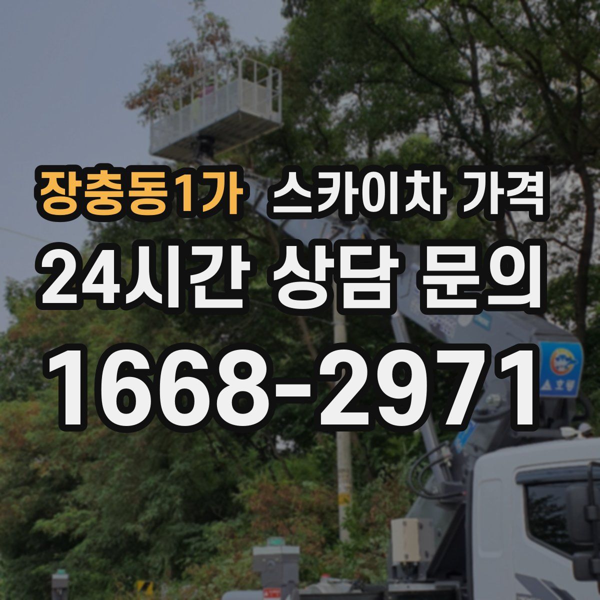 장충동1가 스카이차 가격