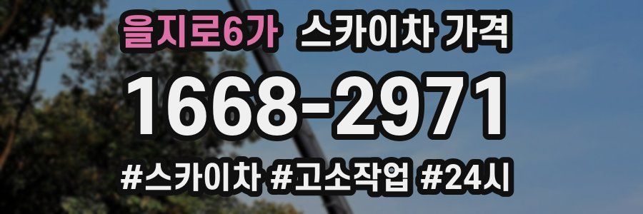 을지로6가 스카이차 가격