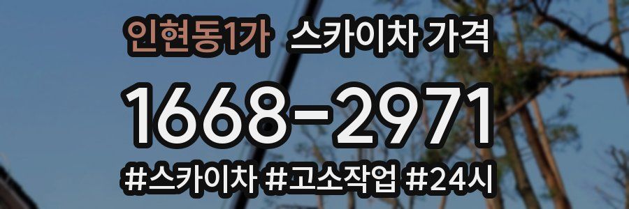 인현동1가 스카이차 가격