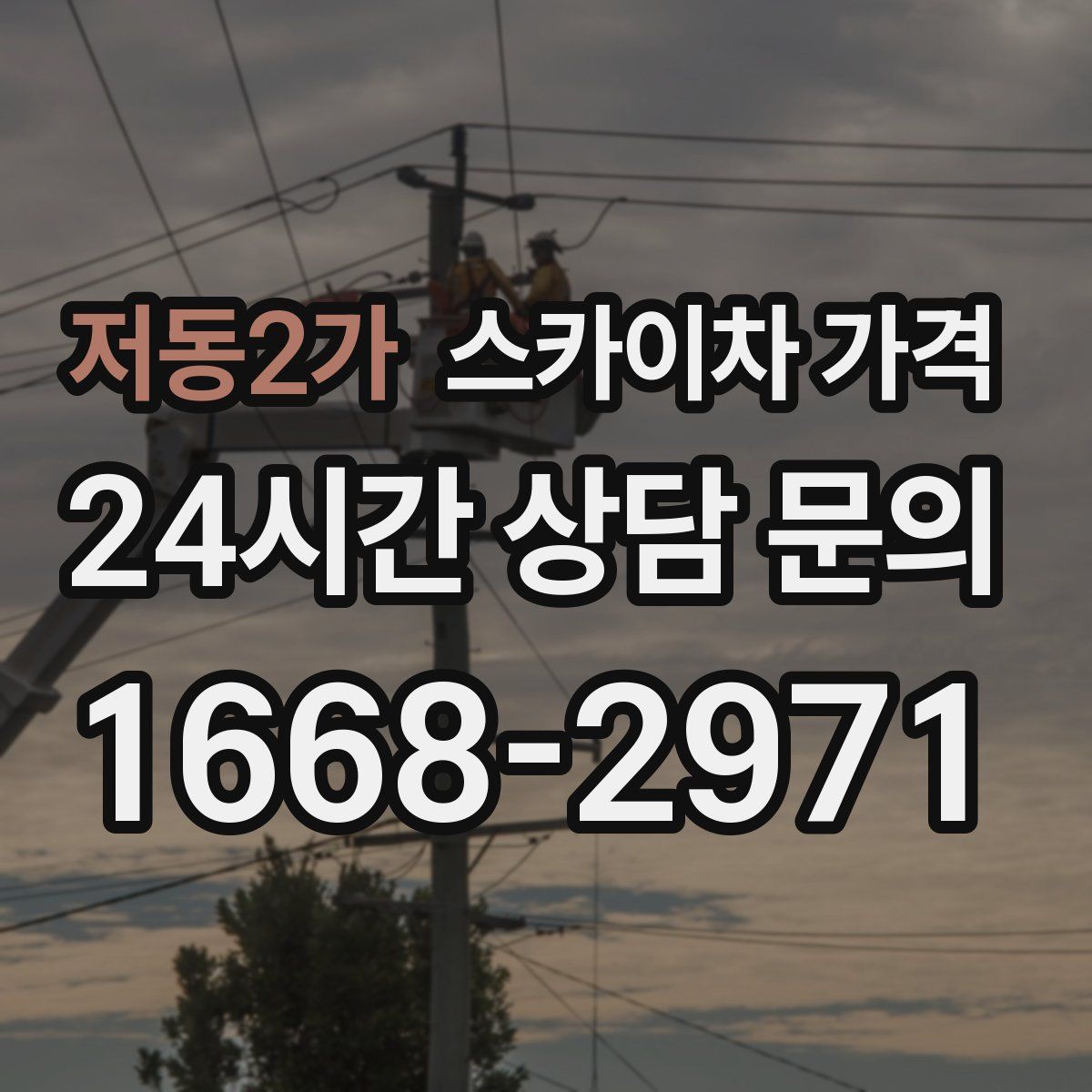 저동2가 스카이차 가격