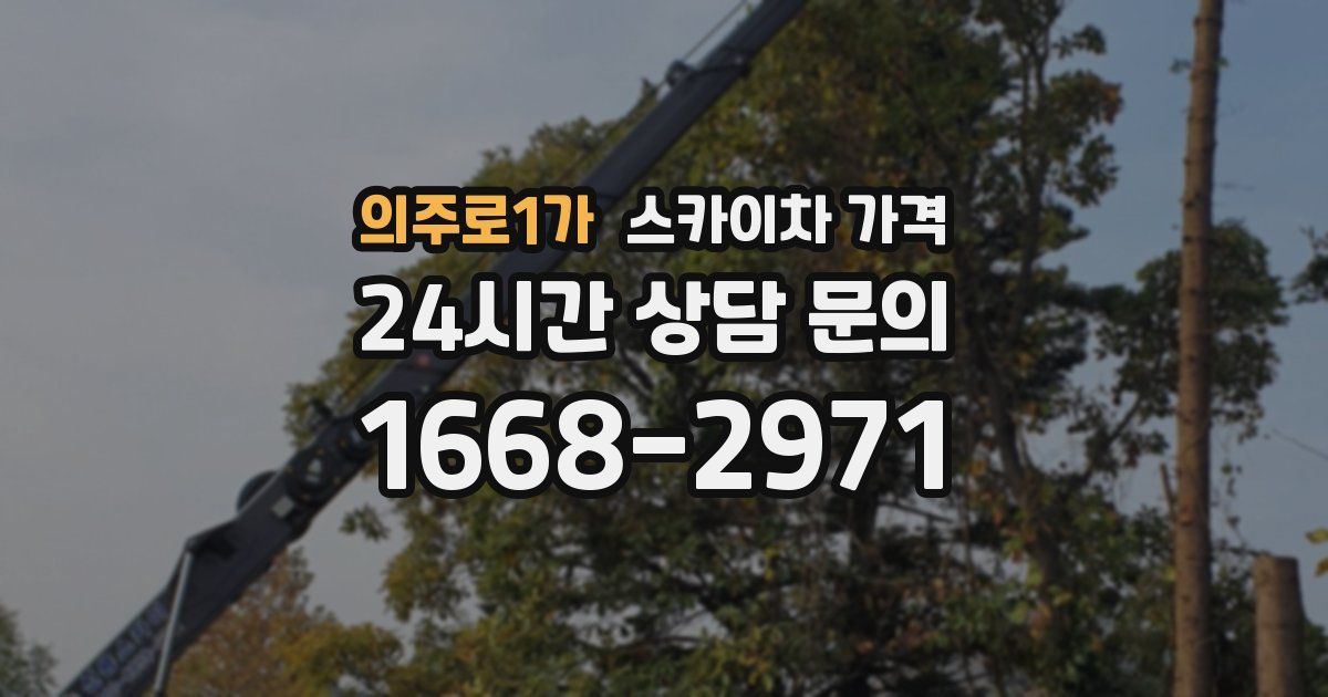 의주로1가 스카이차 가격