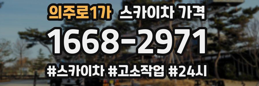 의주로1가 스카이차 가격