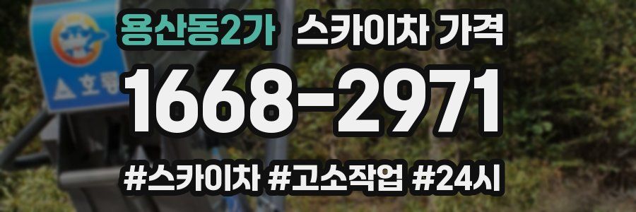 용산동2가 스카이차 가격