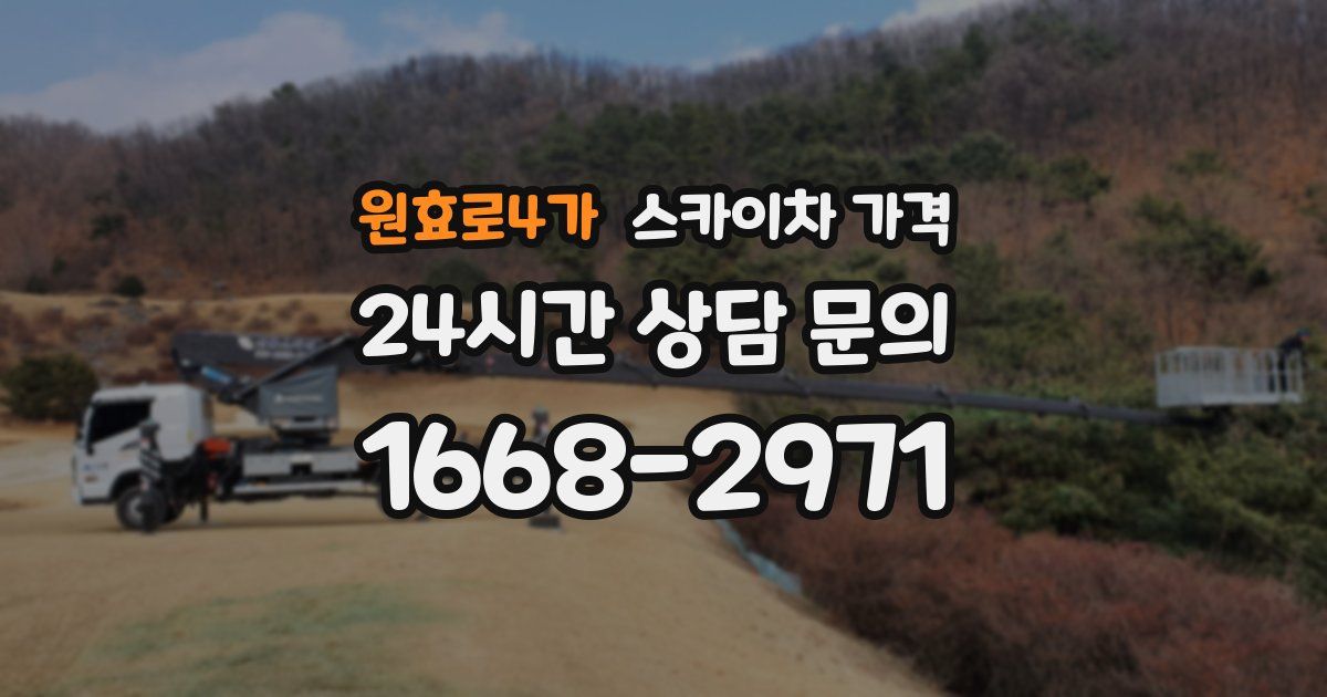 원효로4가 스카이차 가격