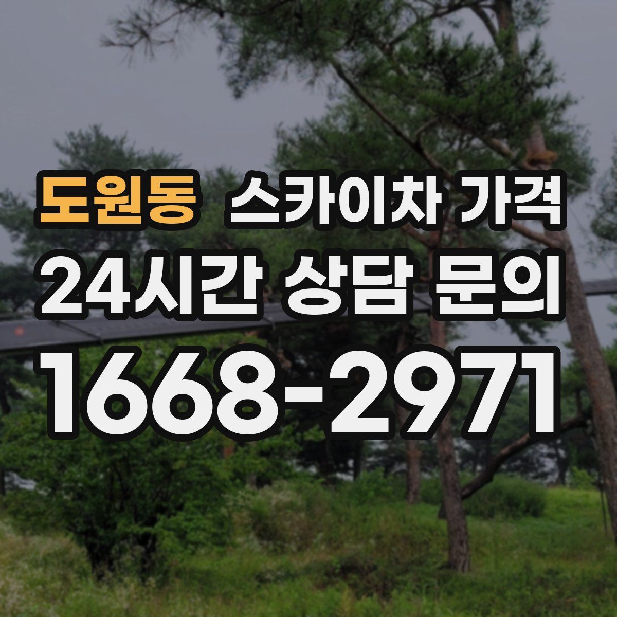 도원동 스카이차 가격