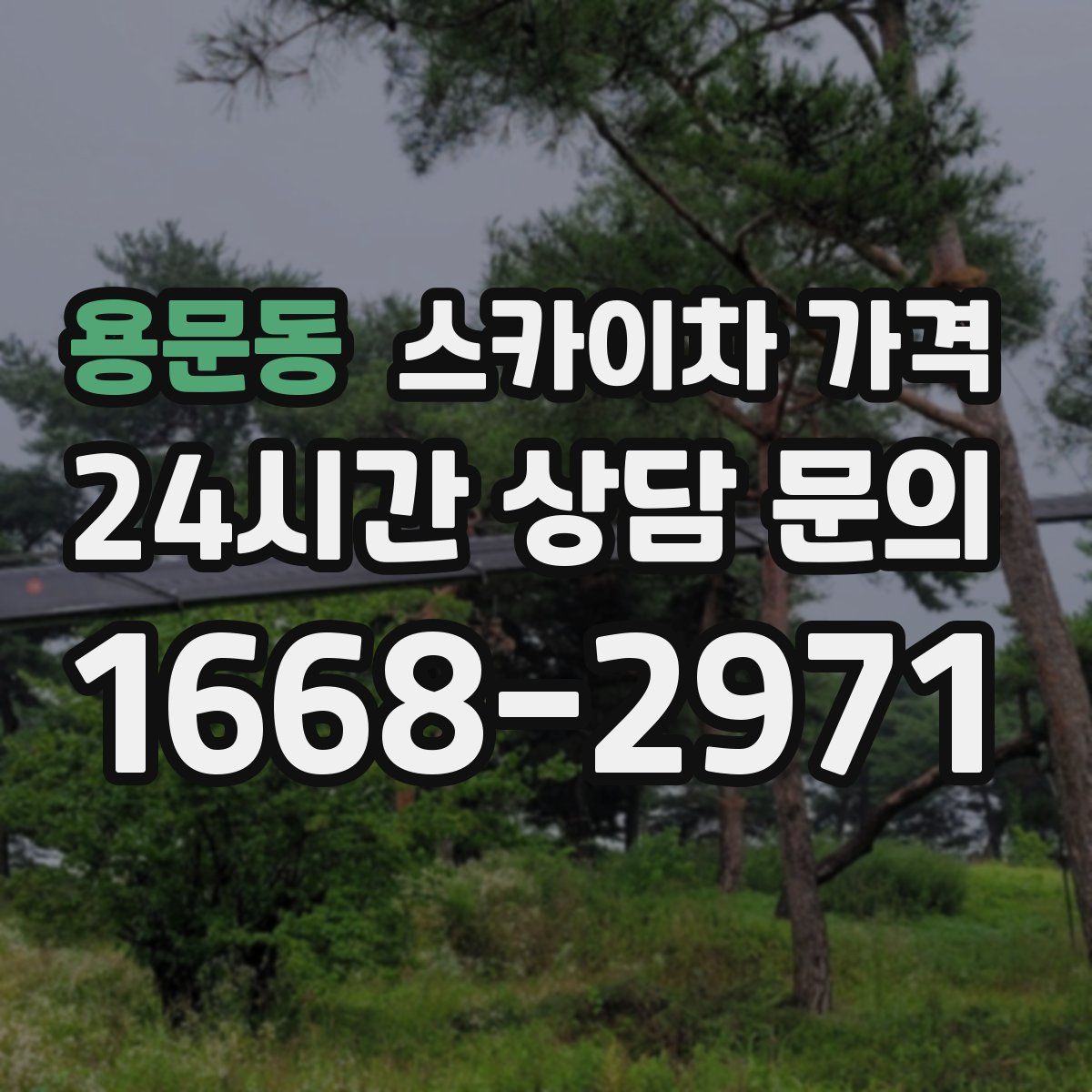 용문동 스카이차 가격