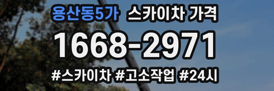 용산동5가 스카이차 가격