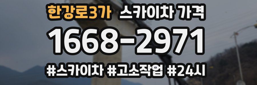 한강로3가 스카이차 가격