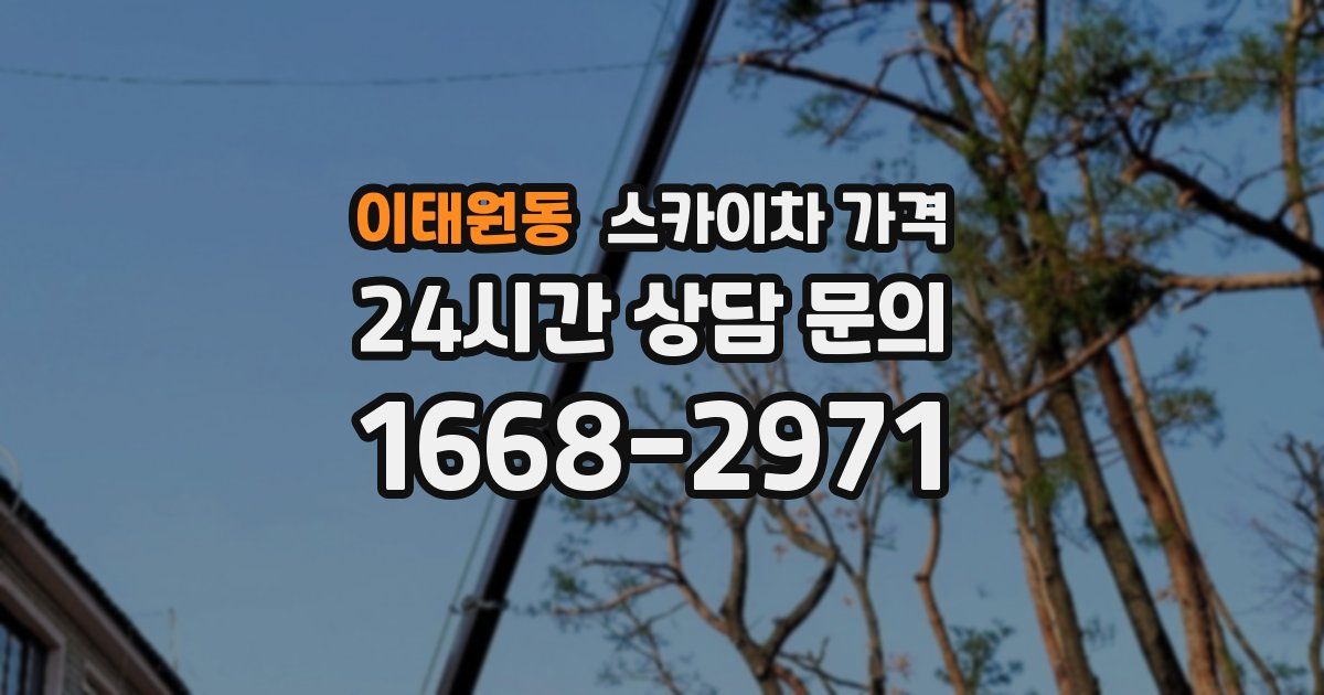 이태원동 스카이차 가격