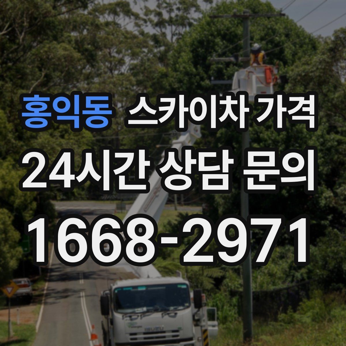 홍익동 스카이차 가격 시즌 장식 설치는 주간/야간 작업 시간이 길어지는 이유