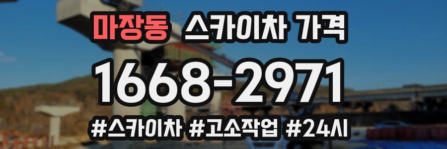 마장동 스카이차 가격