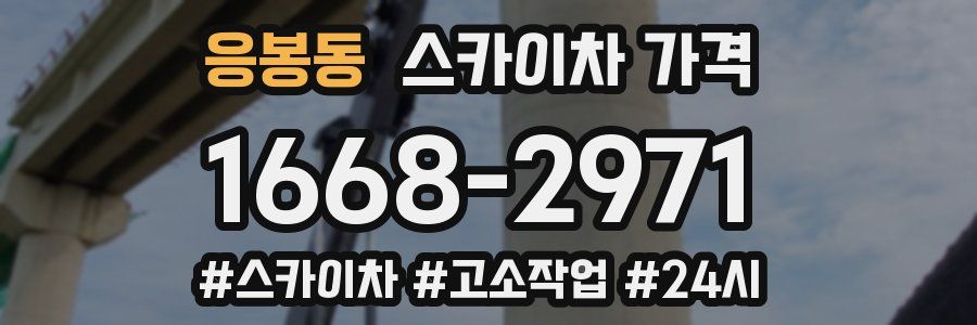 응봉동 스카이차 가격