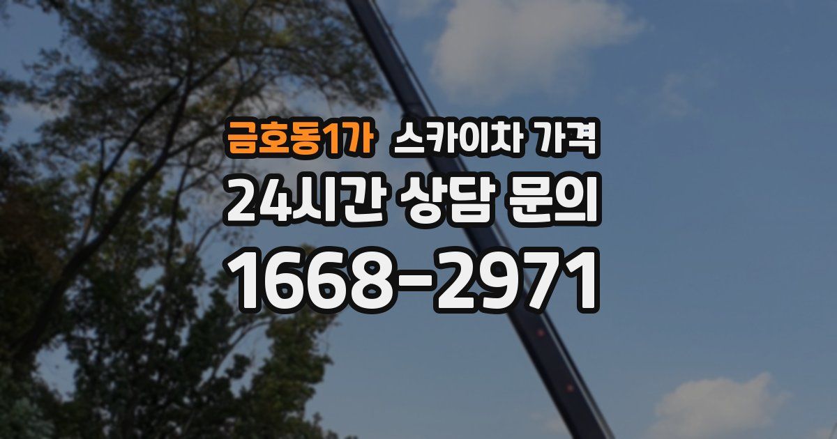 금호동1가 스카이차 가격