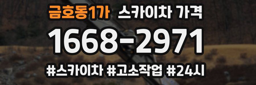 금호동1가 스카이차 가격