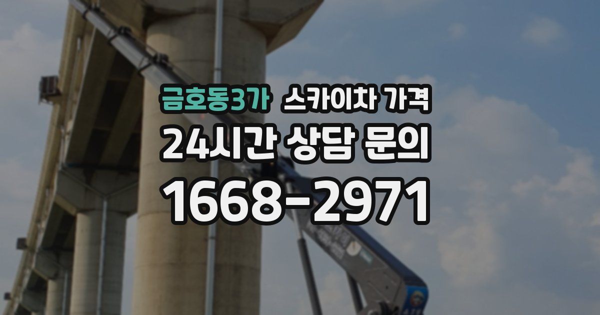 금호동3가 스카이차 가격