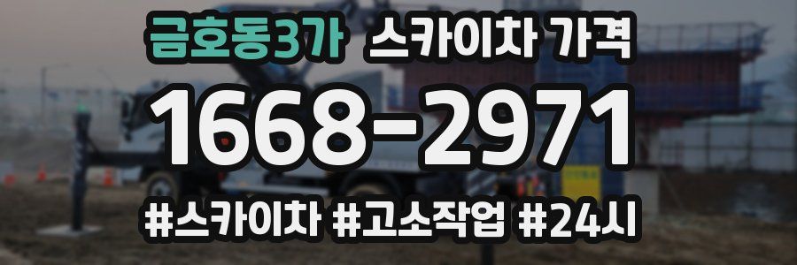 금호동3가 스카이차 가격