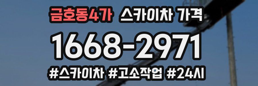 금호동4가 스카이차 가격