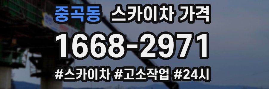 중곡동 스카이차 가격