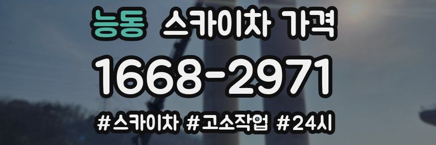 능동 스카이차 가격