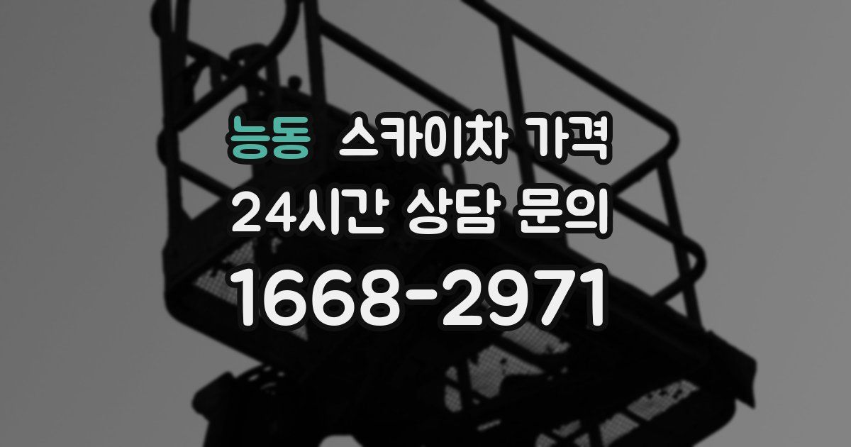 능동 스카이차 가격