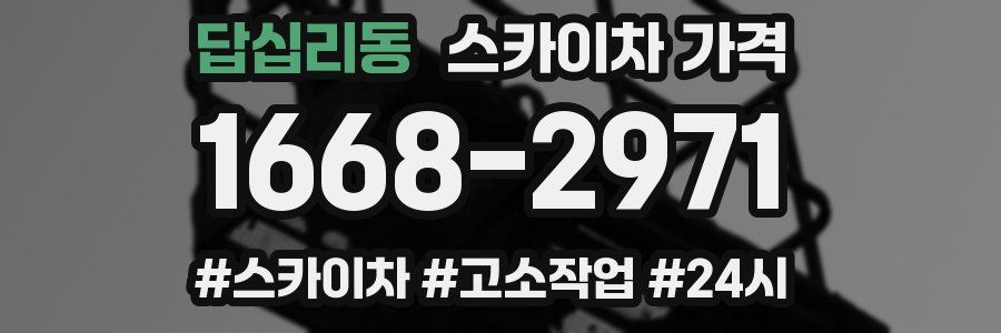 답십리동 스카이차 가격