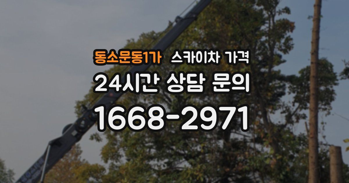 동소문동1가 스카이차 가격
