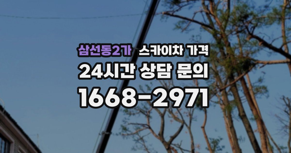 삼선동2가 스카이차 가격