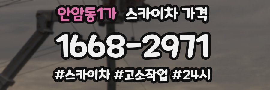 안암동1가 스카이차 가격